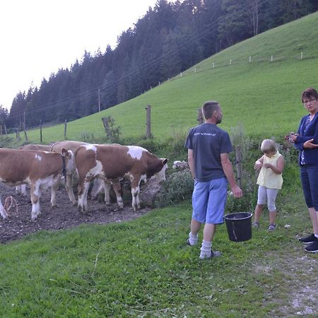 Kiblerhof Appartement Russbach am Pass Gschütt Buitenkant foto