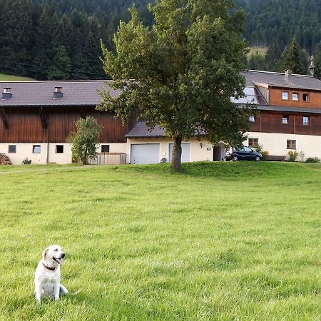 Kiblerhof Appartement Russbach am Pass Gschütt Buitenkant foto