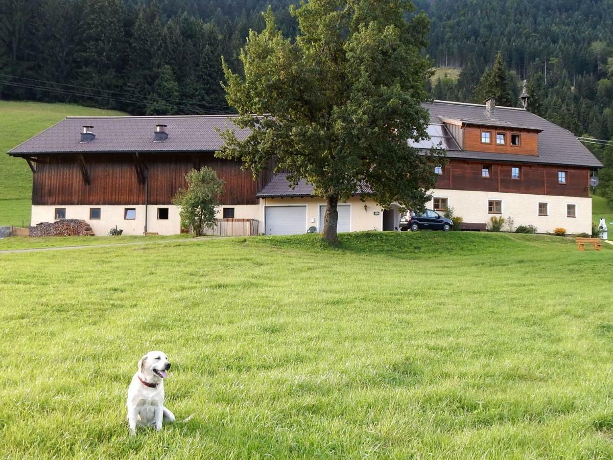 Kiblerhof Appartement Russbach am Pass Gschütt Buitenkant foto