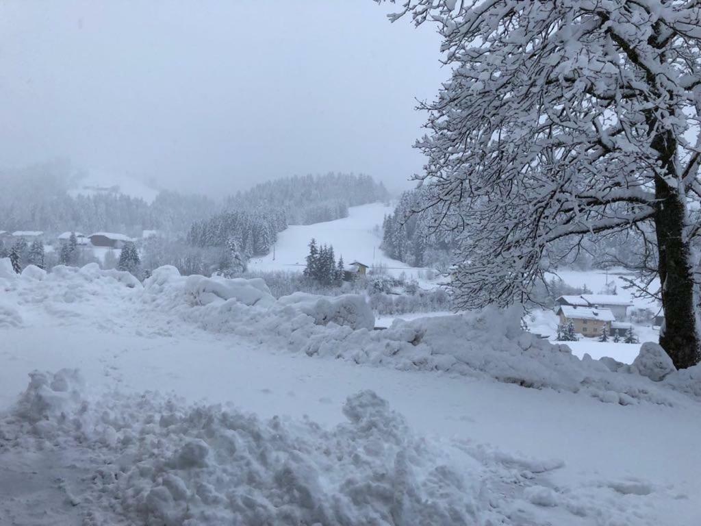 Kiblerhof Appartement Russbach am Pass Gschütt Buitenkant foto